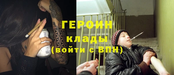 крисы Бородино