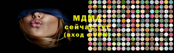 крисы Бородино