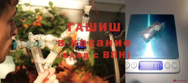 крисы Бородино