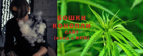 крисы Бородино