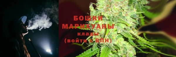 крисы Бородино