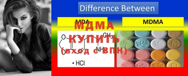 крисы Бородино