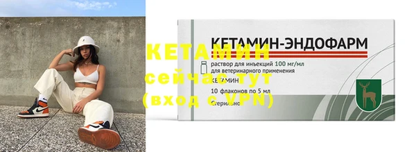 крисы Бородино