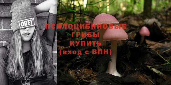 прущий лед Бугульма