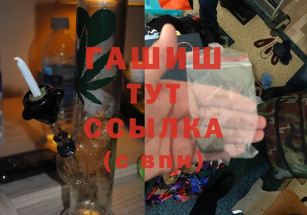 крисы Бородино