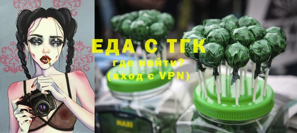 крисы Бородино