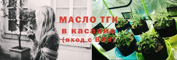 крисы Бородино