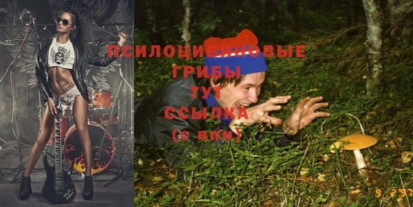крисы Бородино
