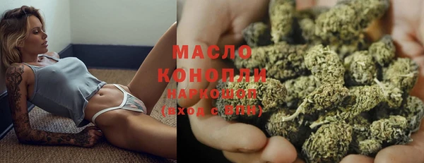 крисы Бородино