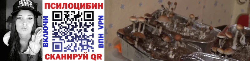 Галлюциногенные грибы мухоморы  Улан-Удэ 